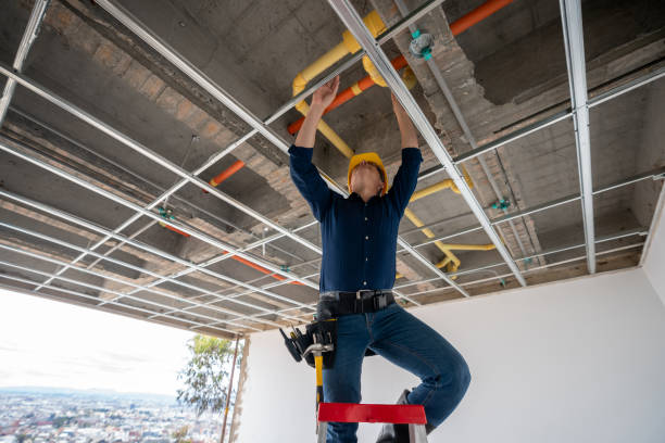 Best Plumbing Services Near Me  in Snyder, TX